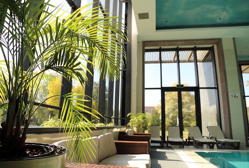 Spa and Fitness Center Gift Certificate